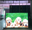 IP65 Rgb Full Color Outdoor Rental Led Screen P5 Advertising Video Display 200-800W